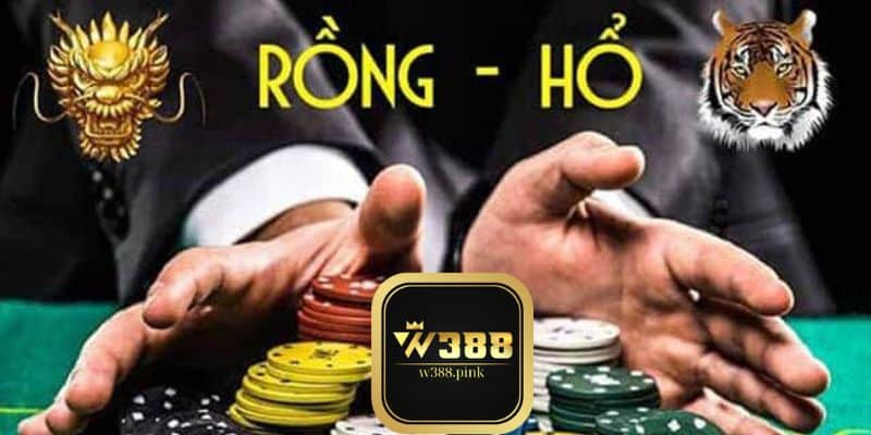 w388 rong ho